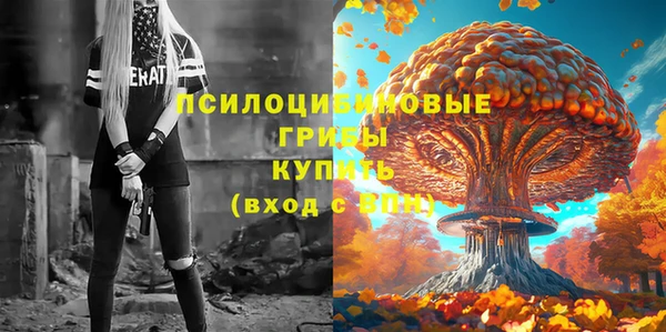 мяу мяу мука Грязовец