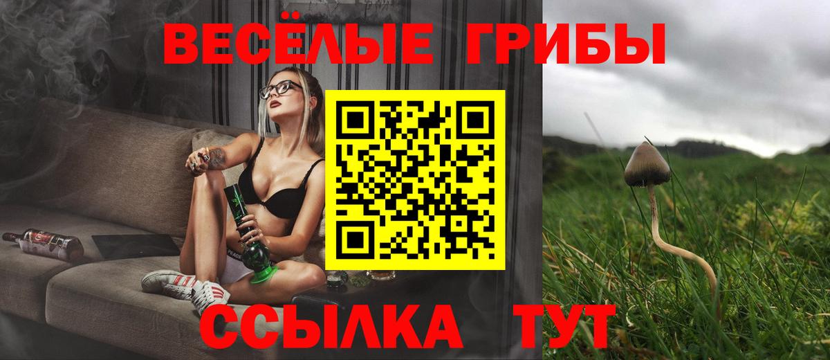 Галлюциногенные грибы MAGIC MUSHROOMS  Галлюциногенные грибы ЛСД  Нововоронеж  Вход с VPN 