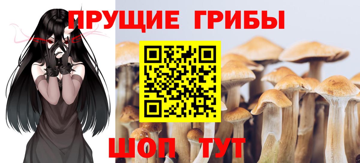 Галлюциногенные грибы мицелий Нововоронеж